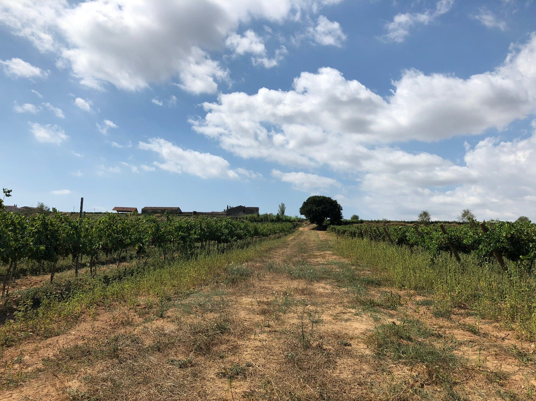 Mas Comtal-Avinyonet del Penedes必去景点