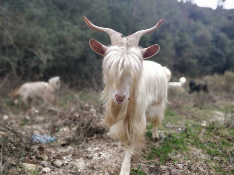 TripAlbania.AL-地拉那必去景点