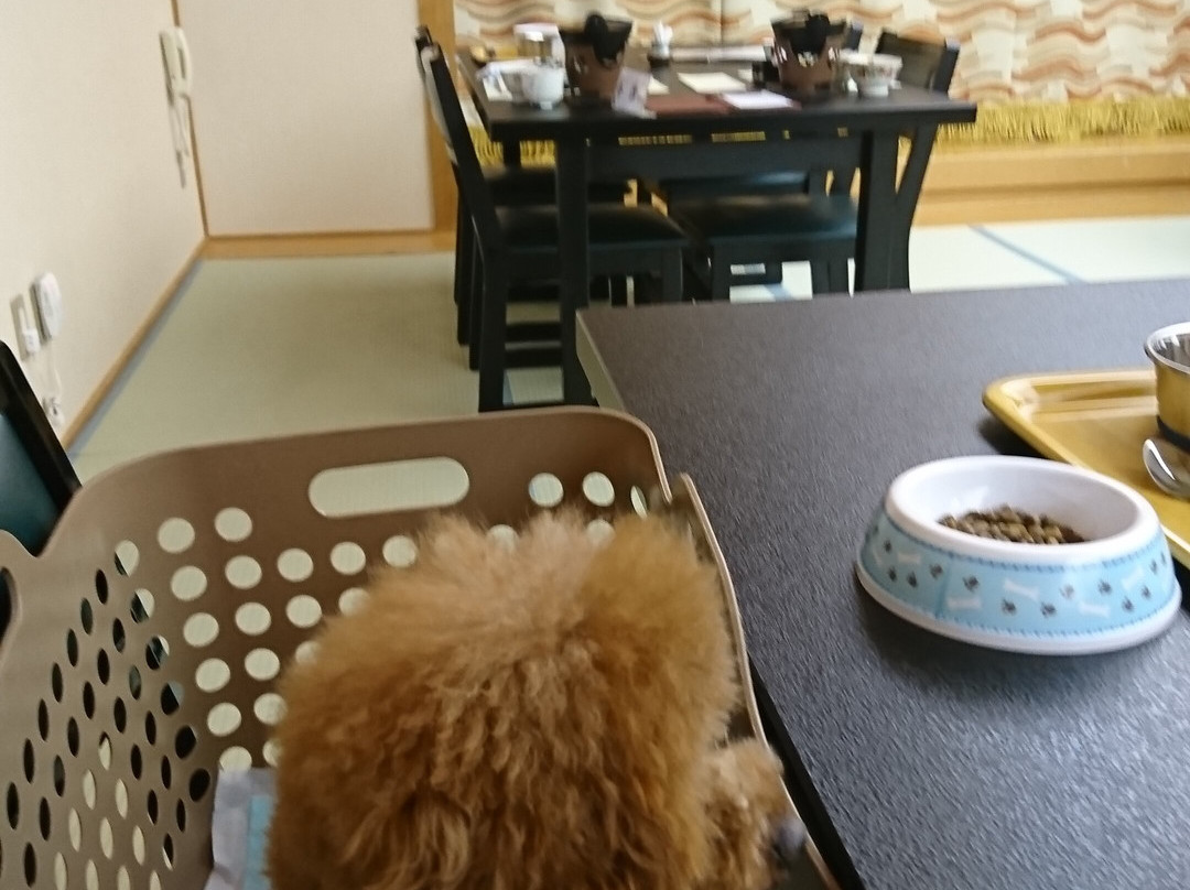 Matsusaka Wanwan Paradise Mori No Hotel Smeall主图