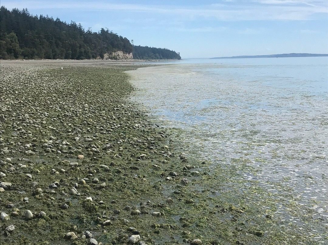 Indian Island County Park景点图片