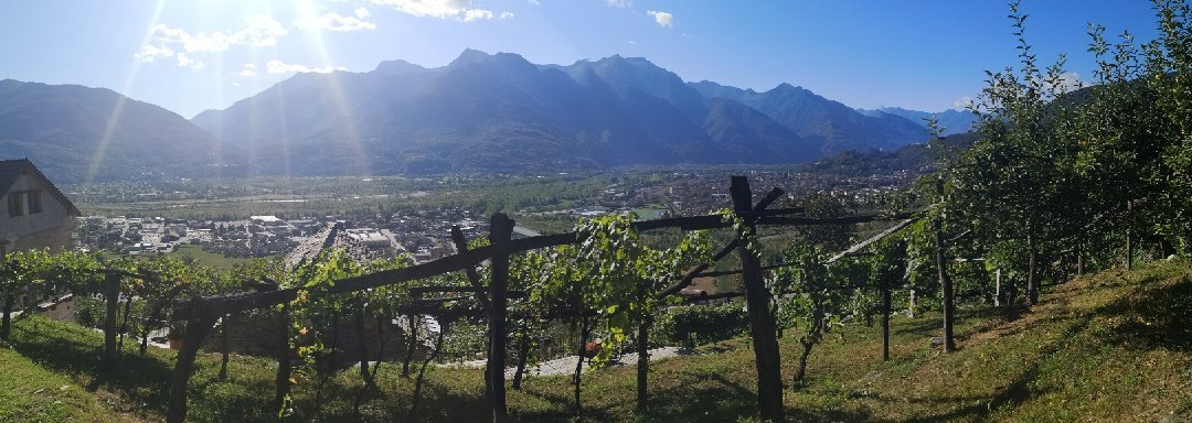 Ossola Dal Monte主图