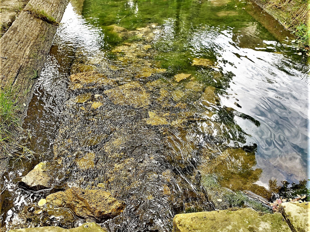 Riviere Souterraine de Champdeniers-Champdeniers-Saint-Denis必去景点