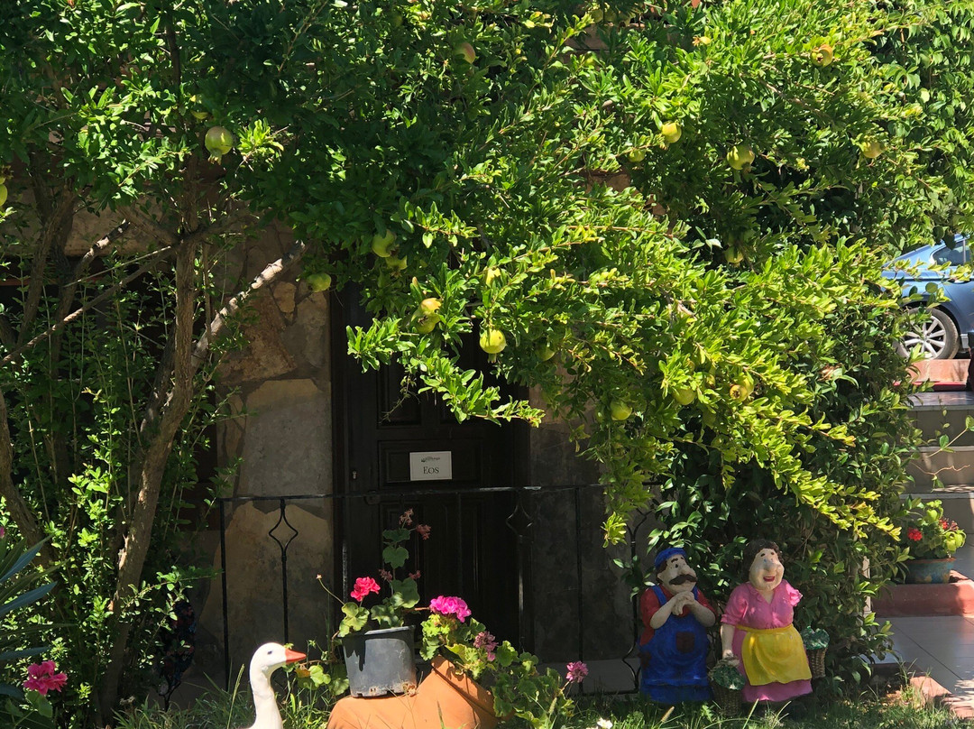 艾索斯萨尔杜尼亚精品酒店主图