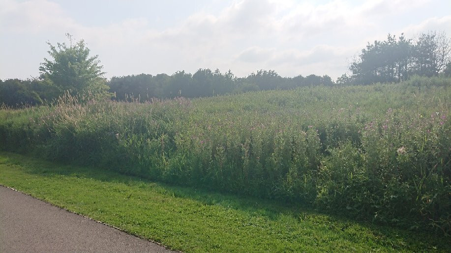 Stadt Moers Park-Prescot必去景点