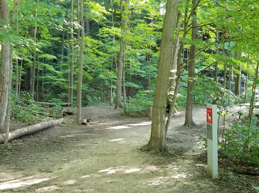 The Riverwood Conservancy-米西索加必去景点