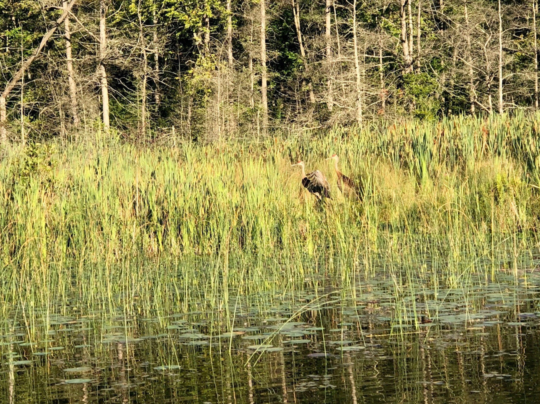 Yankee Springs Recreation Area State Park景点图片