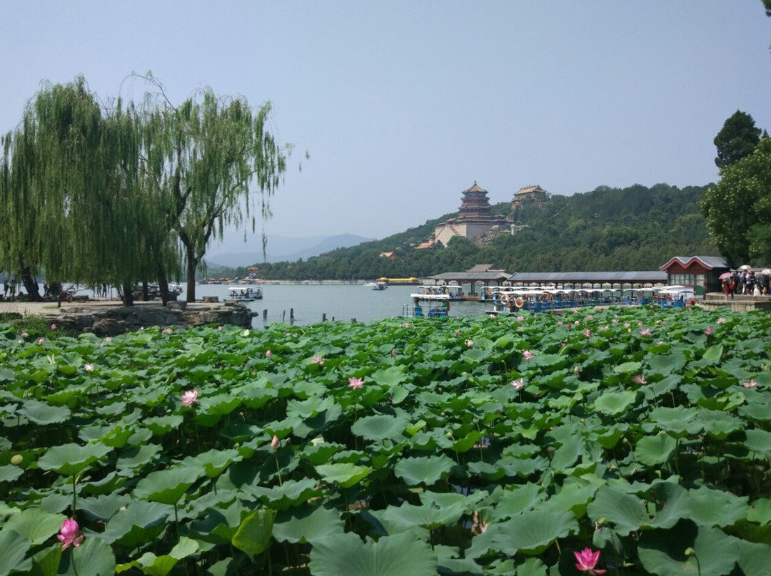 Lily's tour service-北京市必去景点