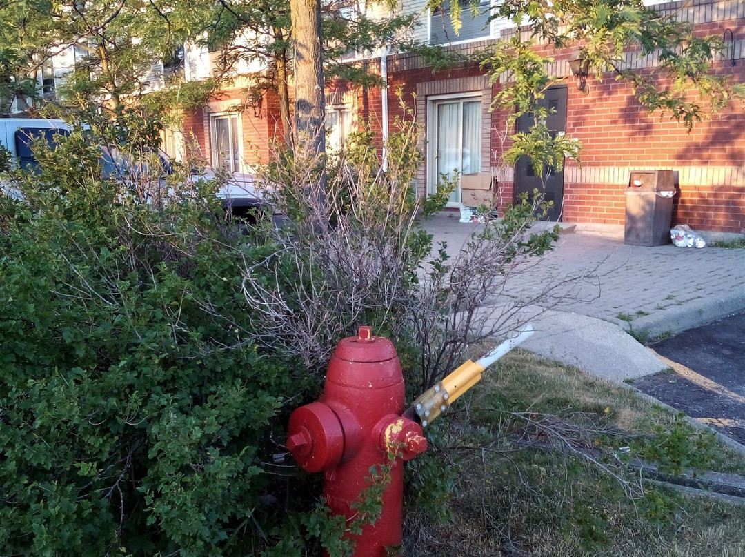 Travelodge Oshawa Whitby主图