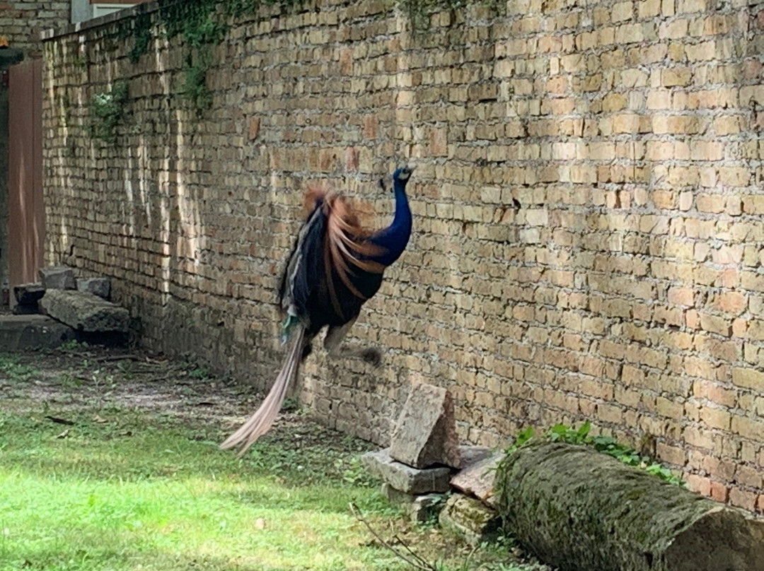 Abbazia di Santa Maria Maggiore-Summaga必去景点