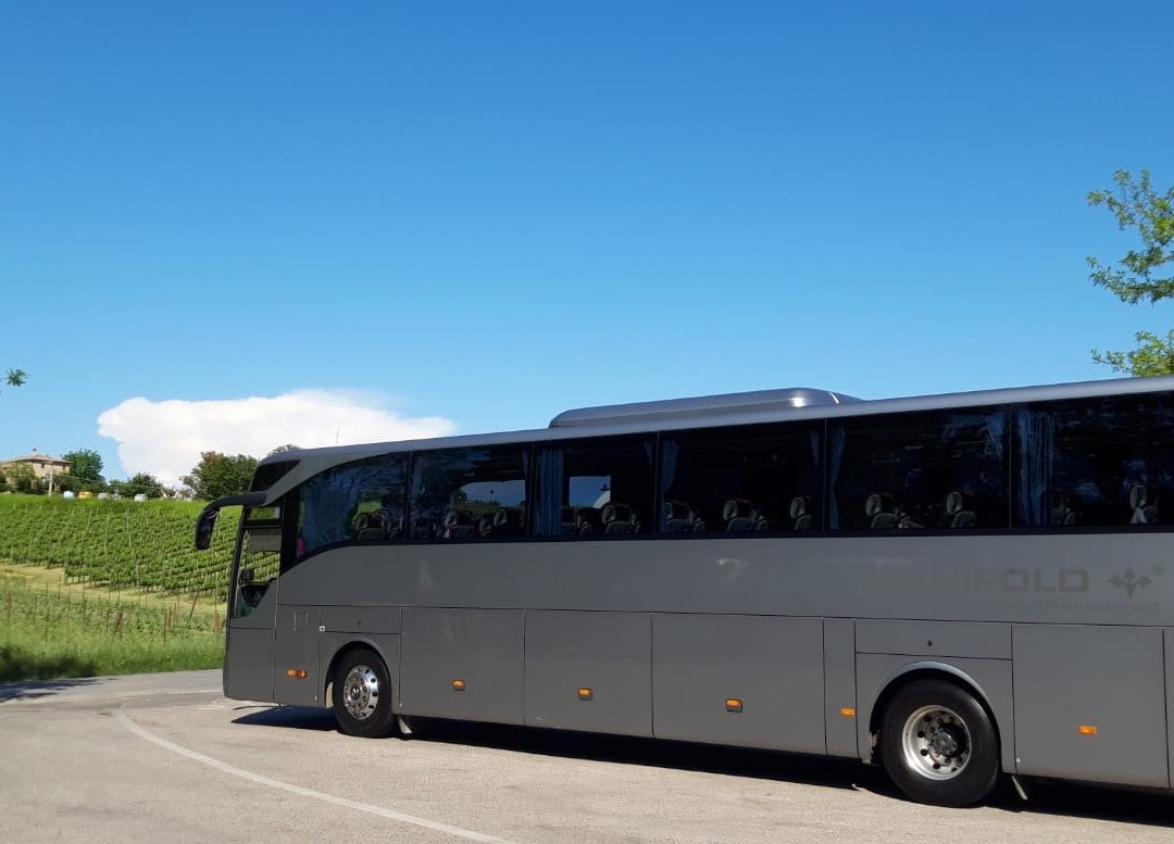 Lodz Tours and Transfers - Day Tours景点图片