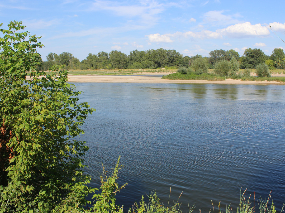 卢瓦尔酒店主图