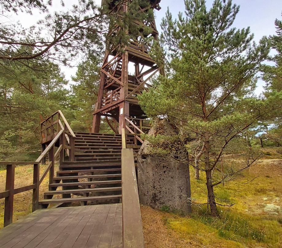 Muzeum Wyrzutni Rakiet w Rąbce景点图片