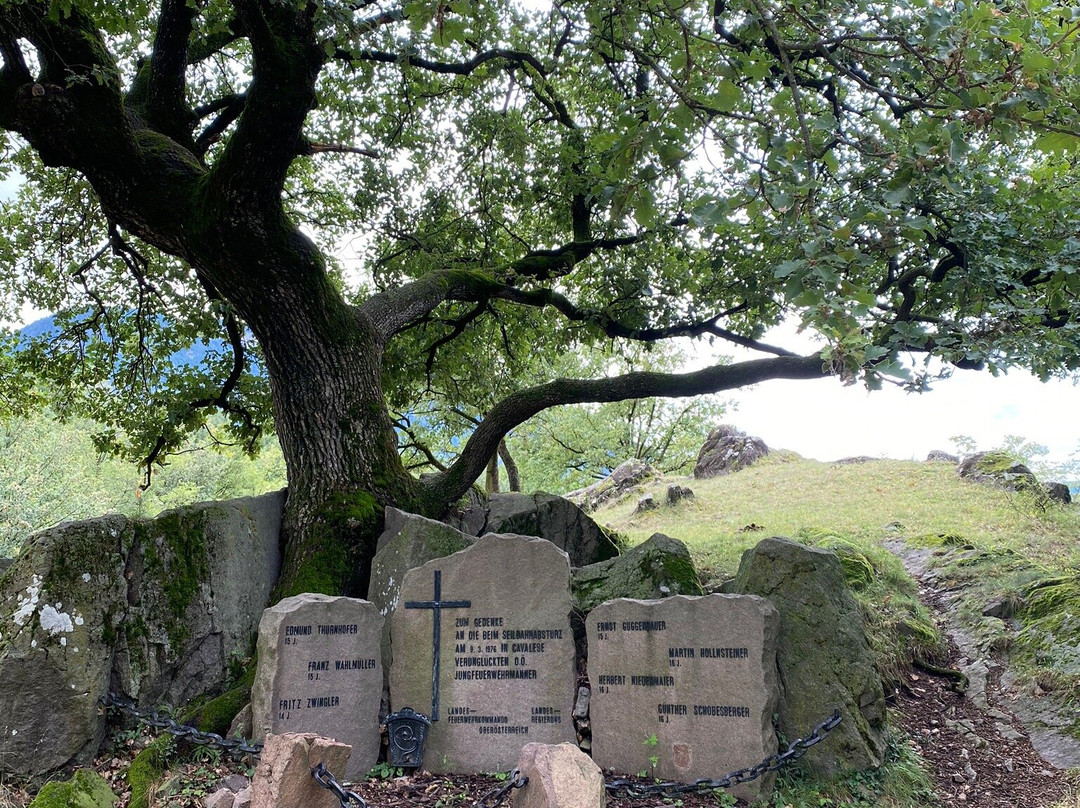 Biotopo Castelfeder景点图片