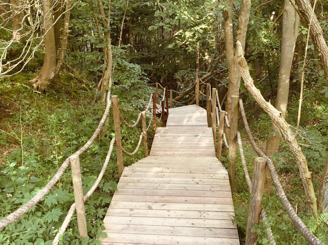 Rosevia Resort & SPA主图