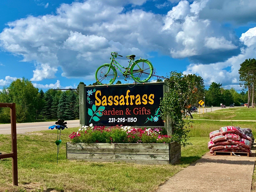 Sassafrass Garden & Gifts景点图片