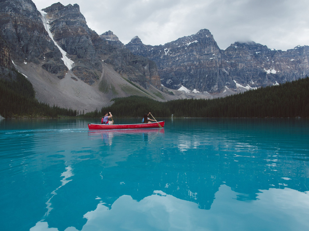 Lincolns & Longhorns Inc.-温尼伯必去景点