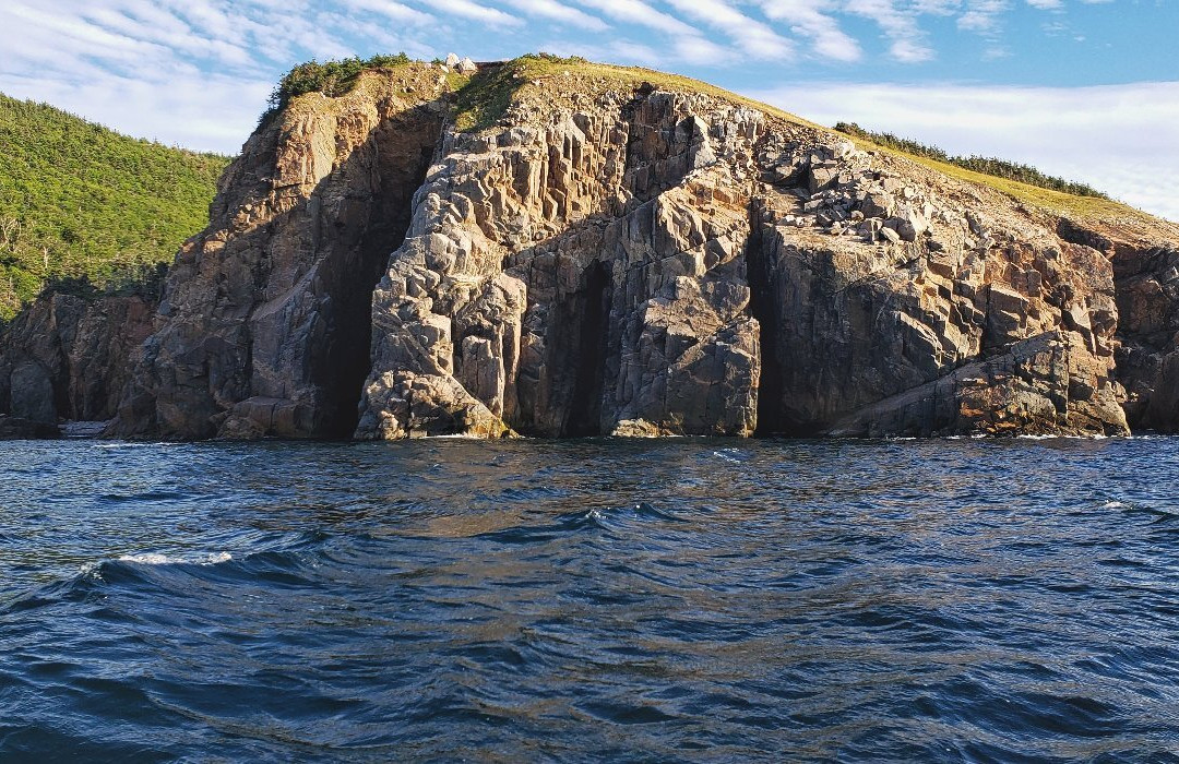Captain Zodiac Whale Cruise-Cheticamp必去景点