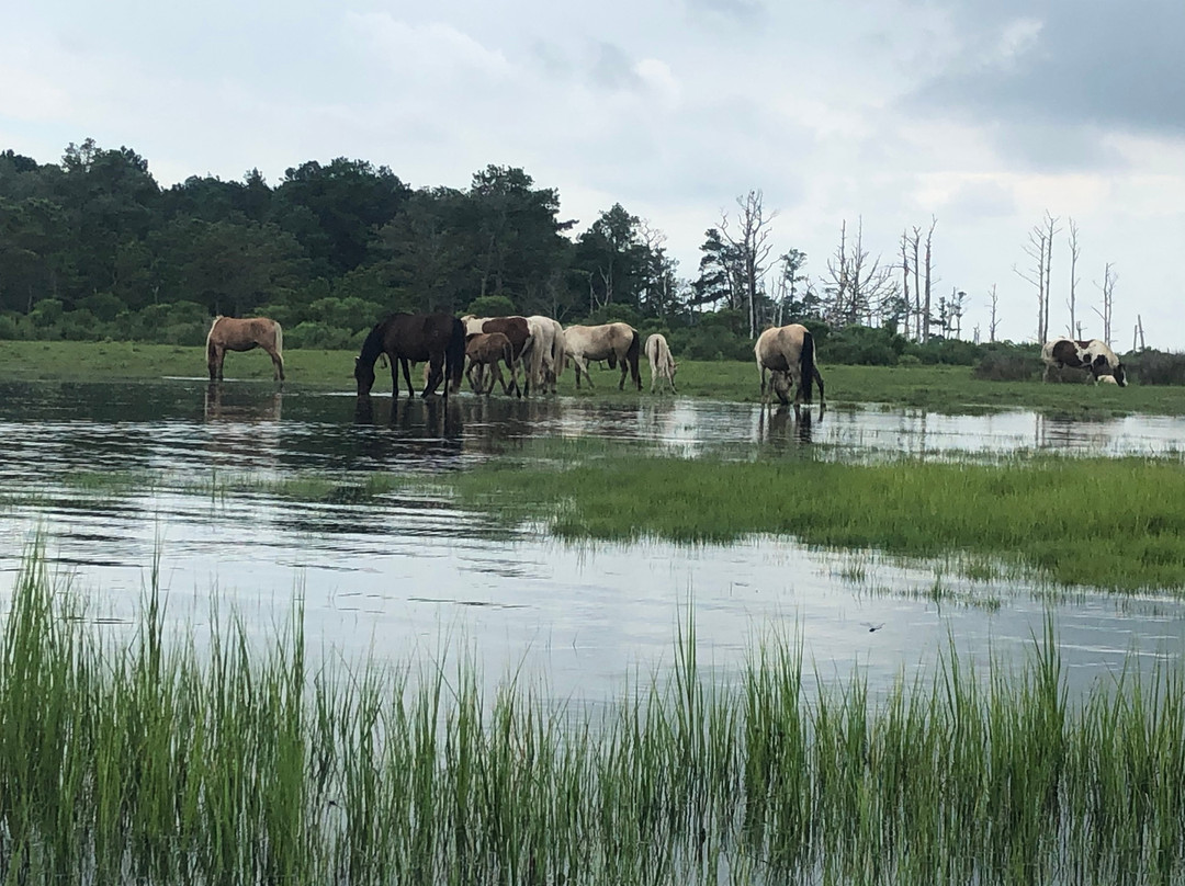 Big Papa Sup-钦科蒂格岛必去景点