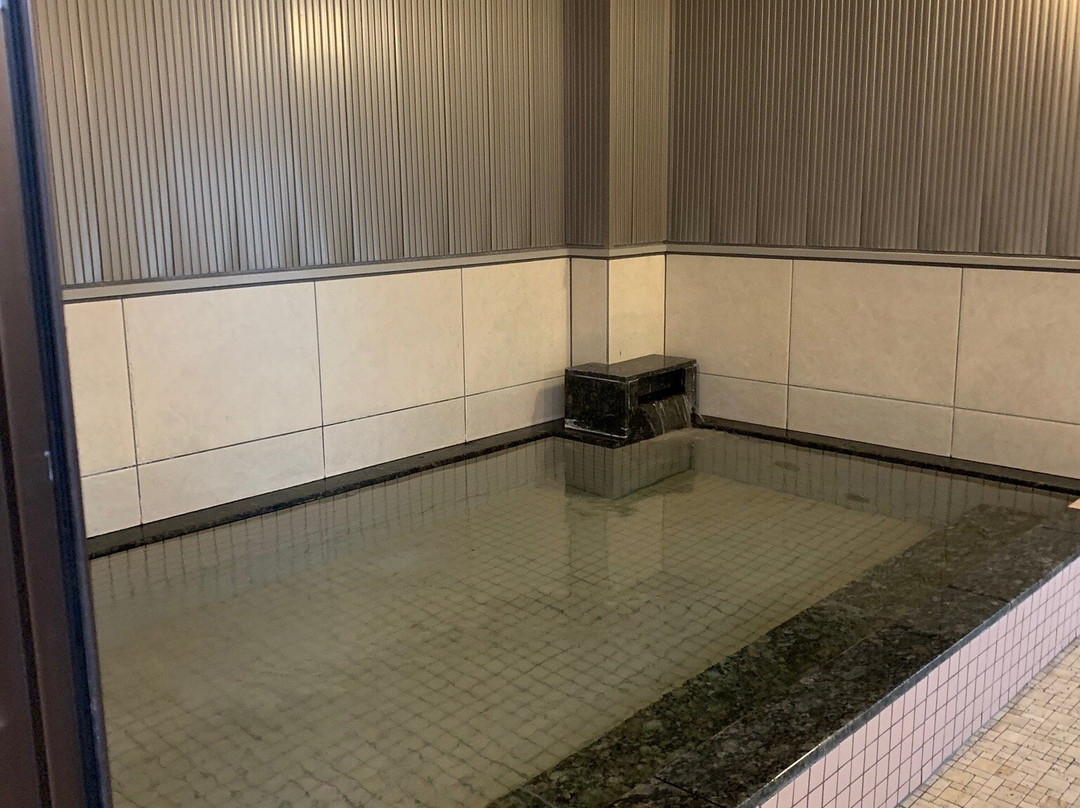 吴竹高级酒店静冈站前主图