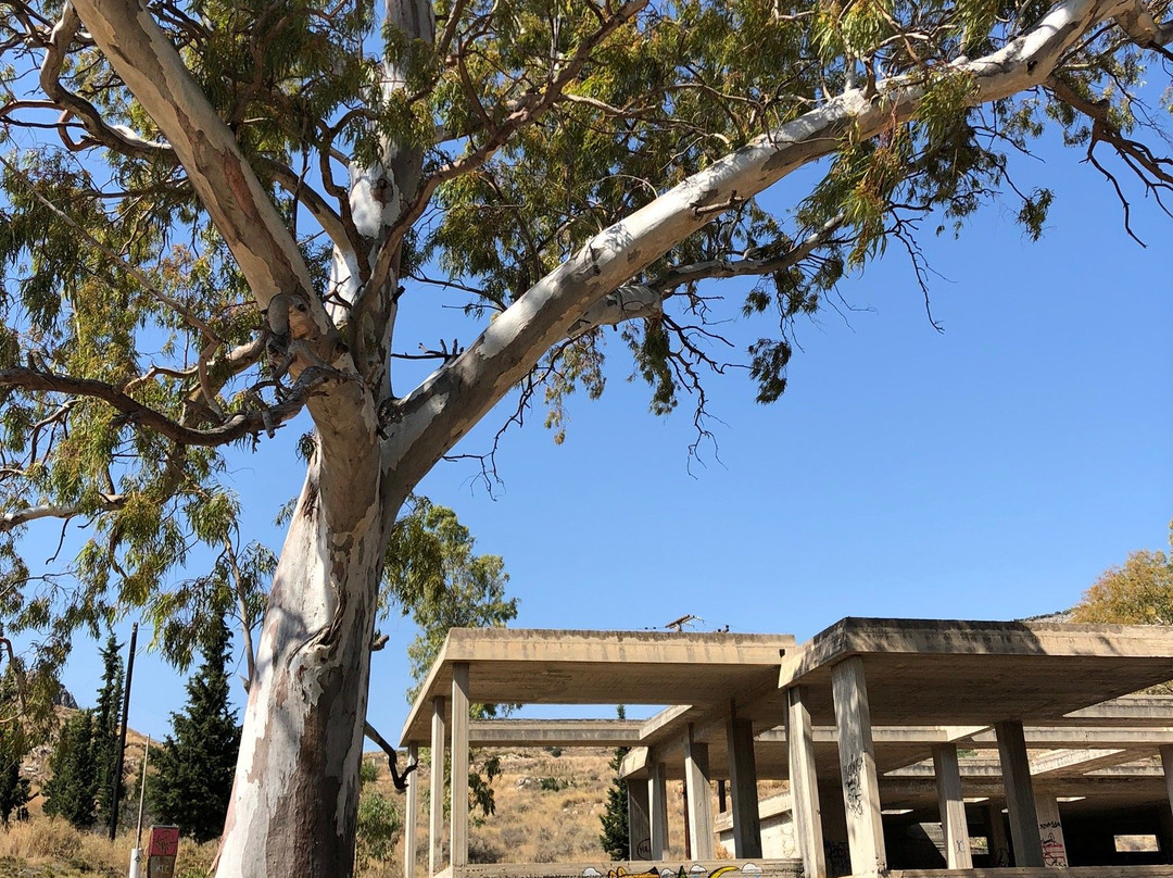 Arvanitia beach-纳夫普利翁必去景点