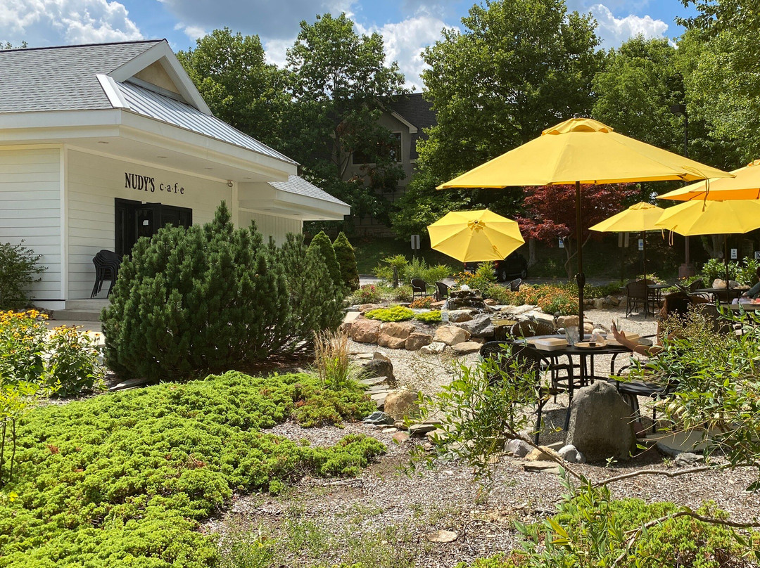 Chesterbrook餐馆和美食-Nudy's Cafe