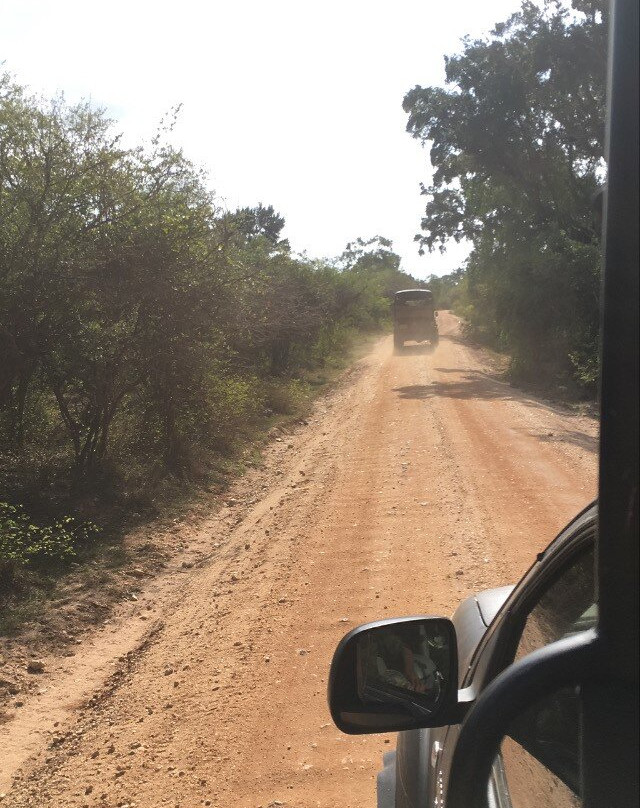 Daya Safari Jeep Service景点图片