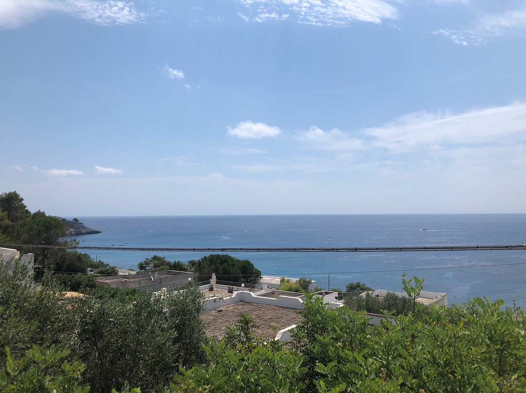 欧萨玛吉欧雷酒店主图