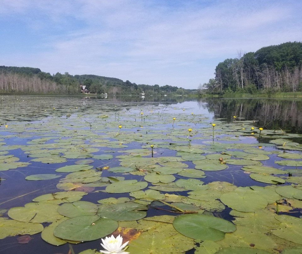 The House on the Hill Bed and Breakfast主图