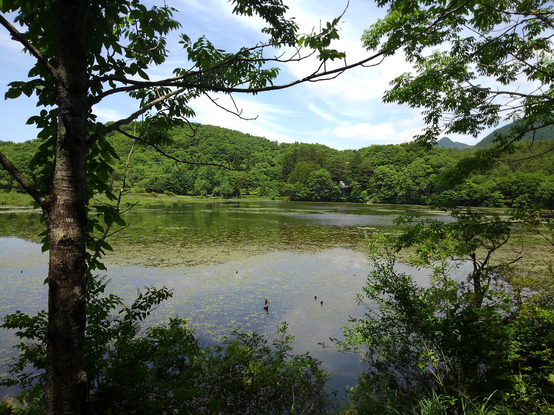 Kannonnuma Forest Park景点图片
