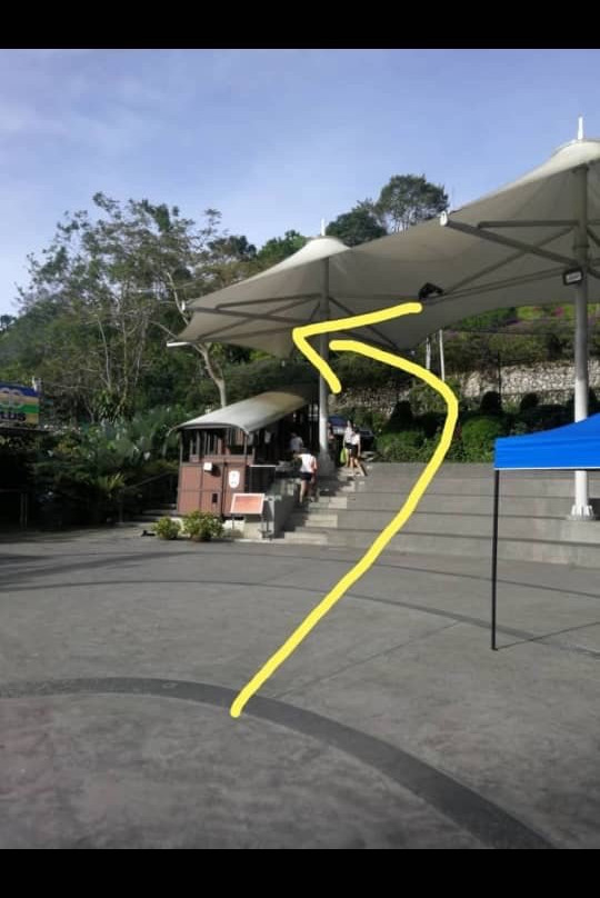 Monkey Cup-槟城岛必去景点