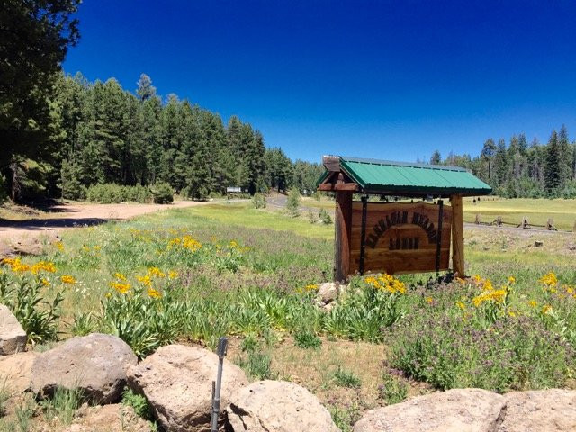 Hannagan Meadow Lodge主图