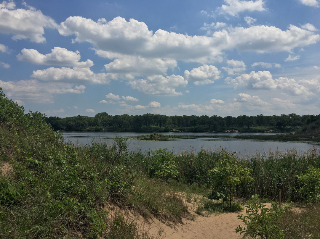 Lake Street Beach景点图片