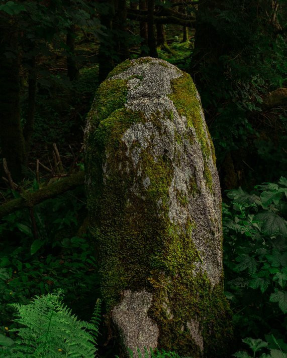 Blanemore Forest Walk-Moygownagh必去景点