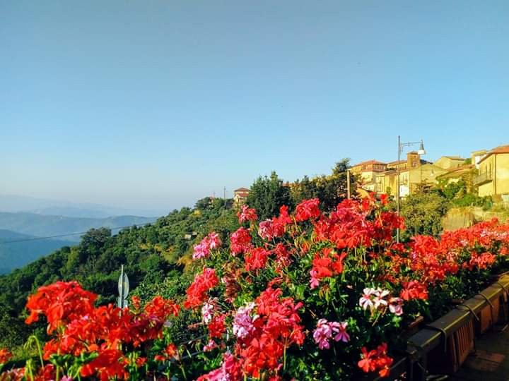B&B Antonella