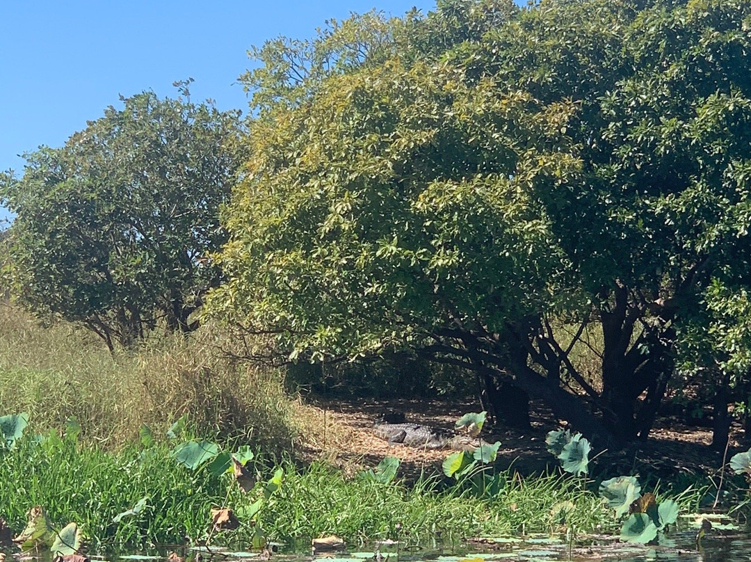 Corroboree Billabong-Marrakai必去景点