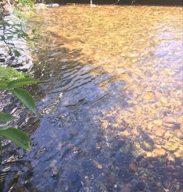 Batford Springs Nature Reserve景点图片