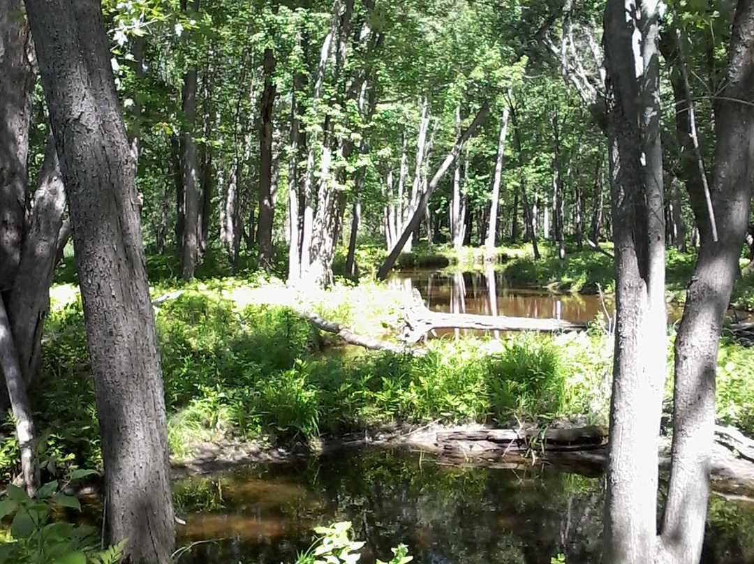 Westmeath Provincial Park-Westmeath必去景点