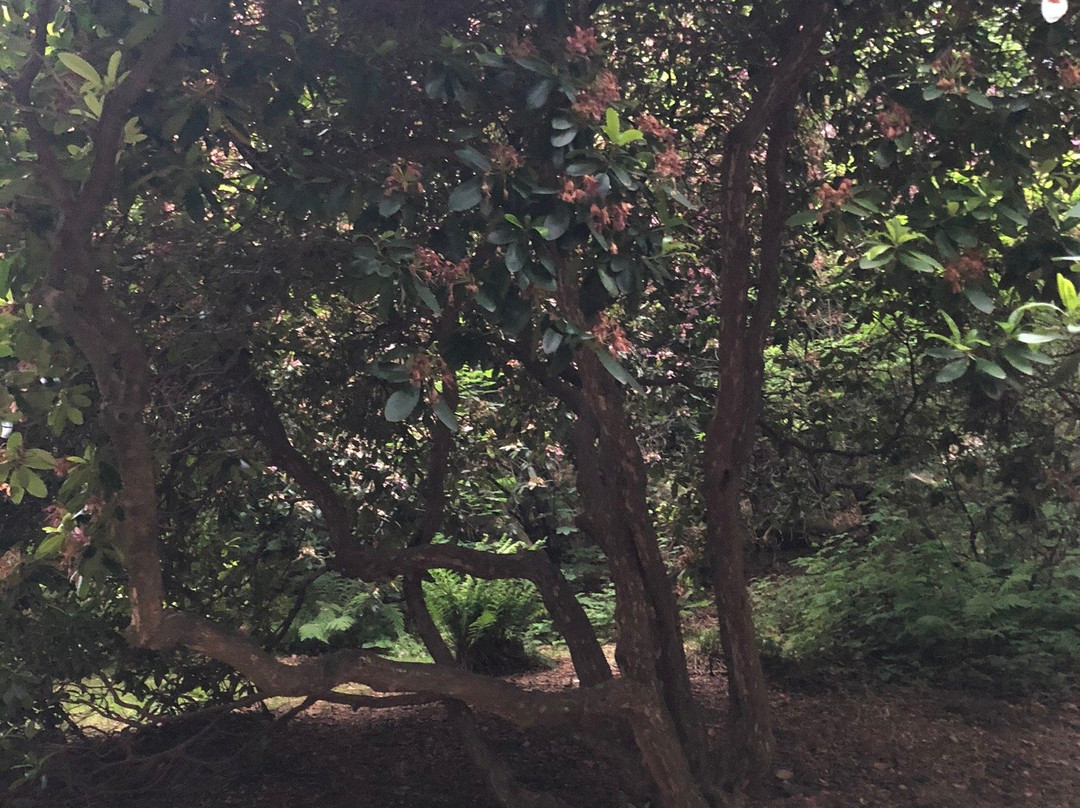 Park Zdrojowy景点图片