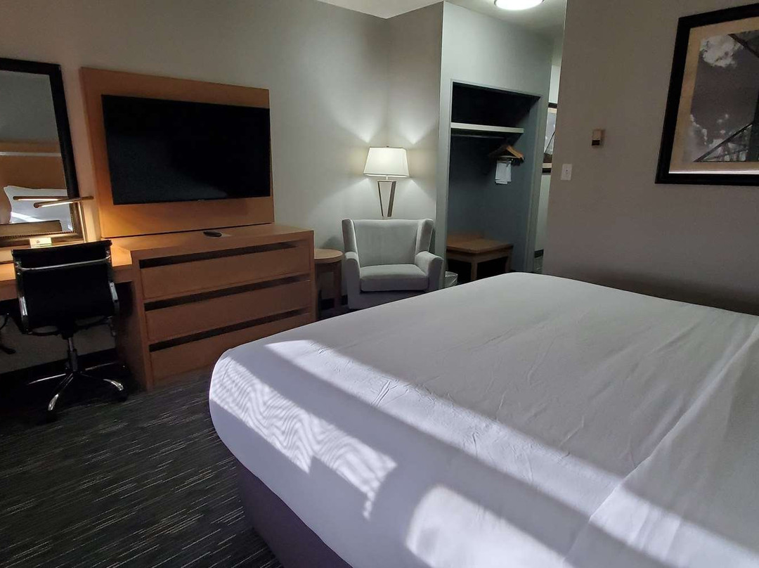 Wingate by Wyndham Lethbridge主图