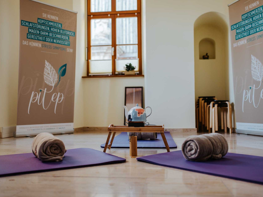 Physiotherapie Pitep | Inh. Sophia Guttzeit-Sondershausen必去景点