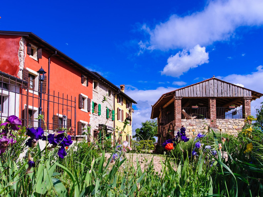 Ronca酒店住宿-B&B Col De Riosse