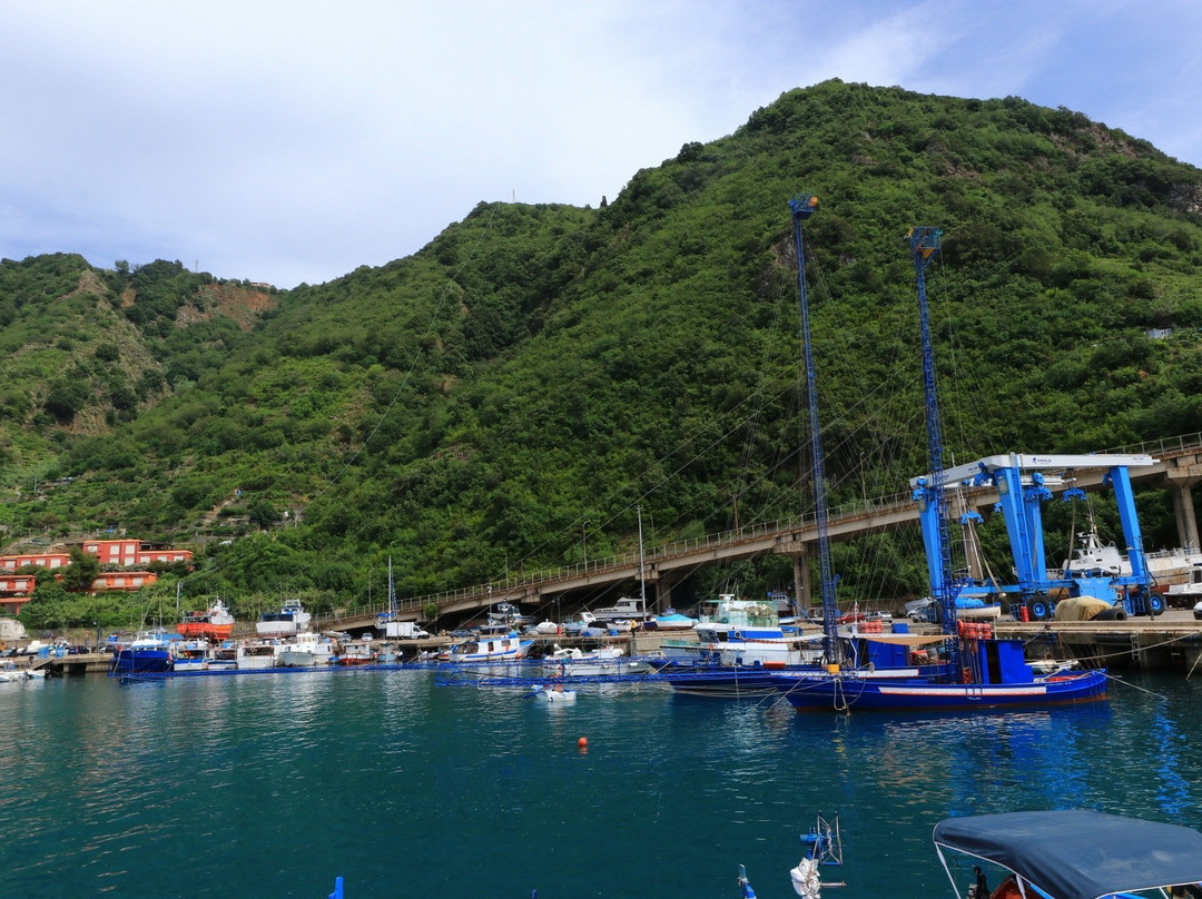 Porto di Bagnara-Bagnara Calabra必去景点
