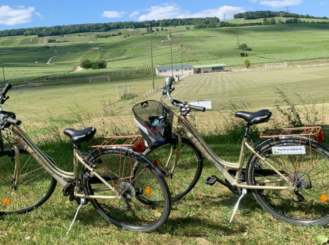 Facil-e-bike景点图片