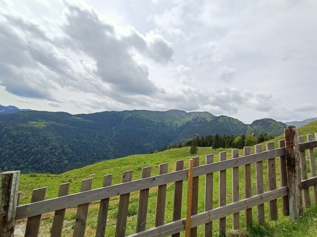 Malga Zermula-Paularo必去景点