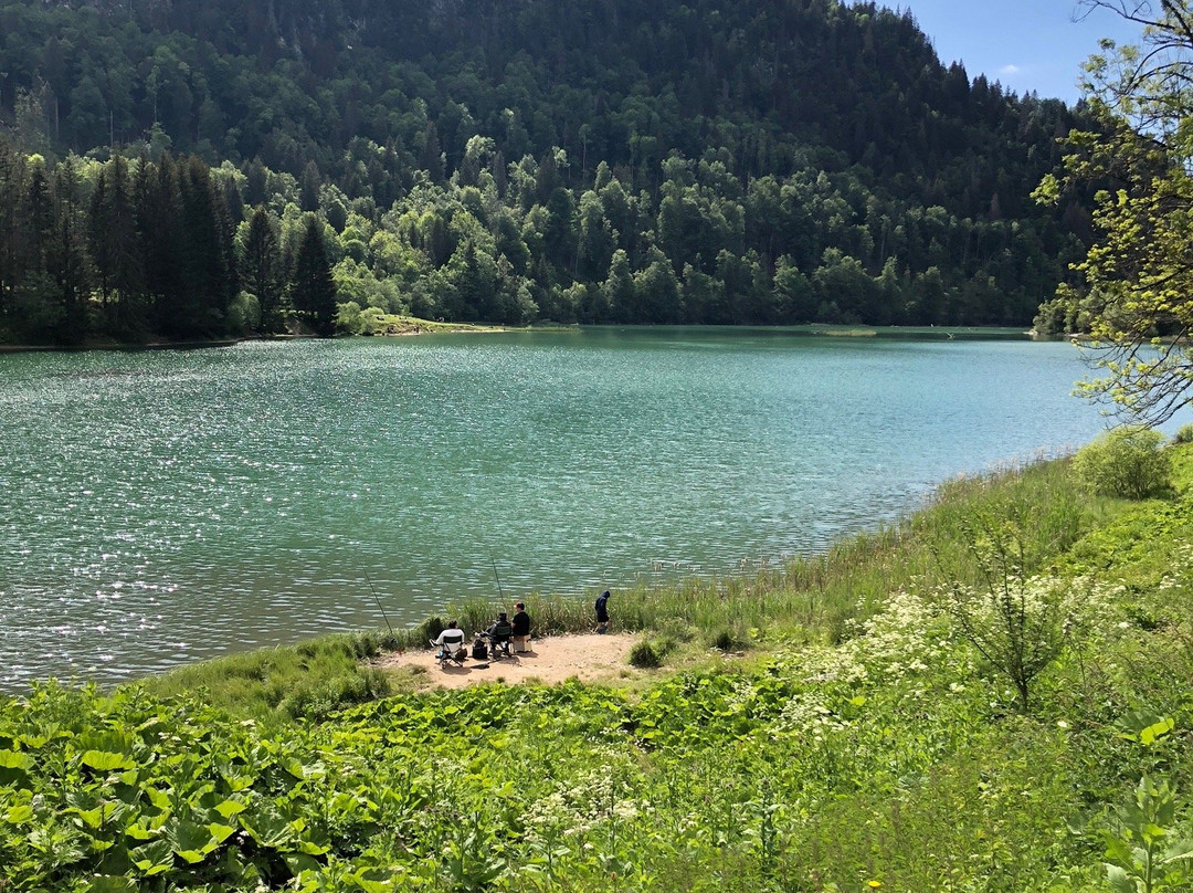 Lac de Vallon景点图片