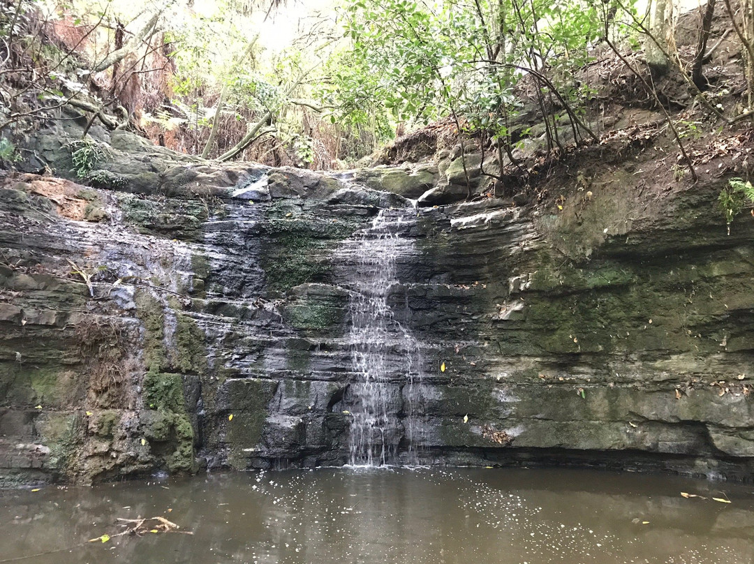 Shakespear Regional Park-旺阿帕劳阿必去景点