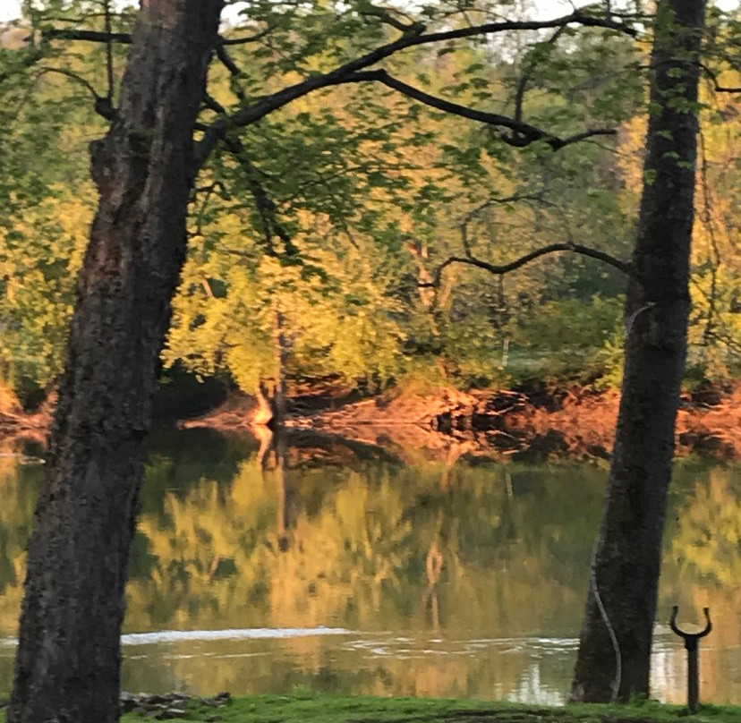 Malta旅游攻略图片