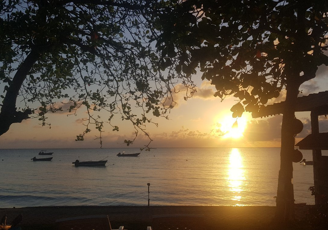 Miss Mary Hotel - Decameron主图