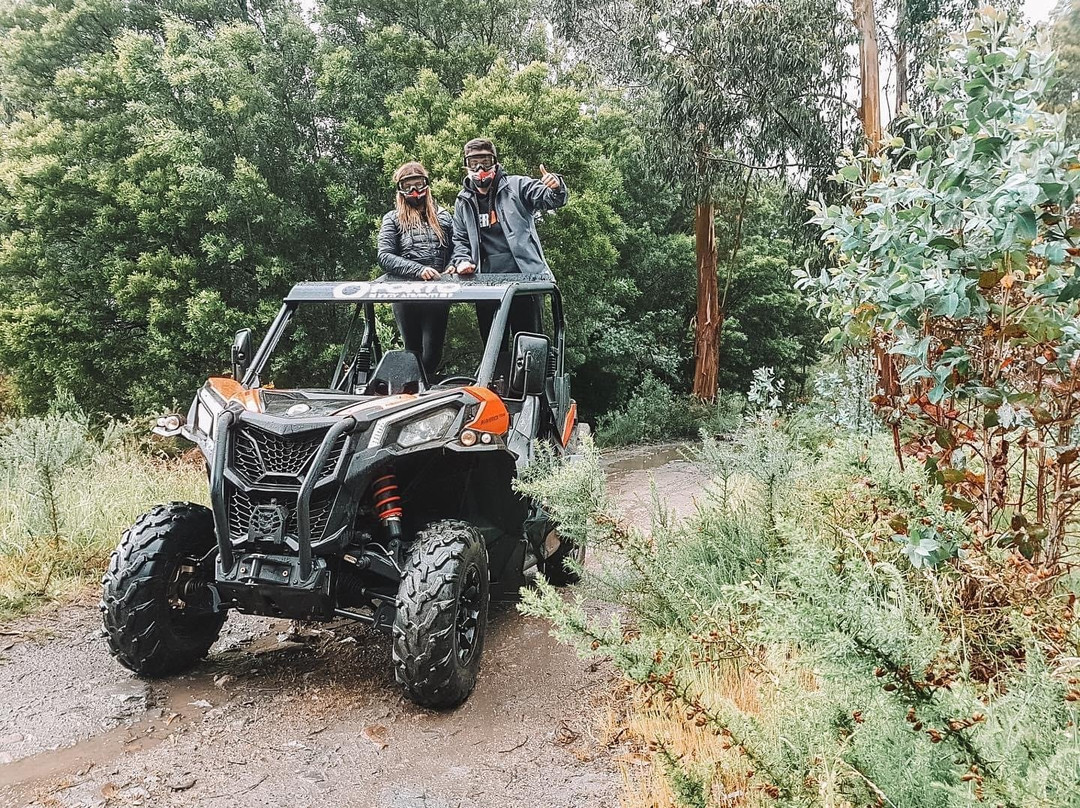 Oporto Buggy Adventure景点图片