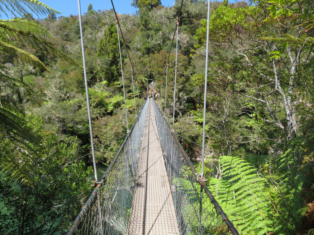 Abel Tasman National Park旅游攻略图片